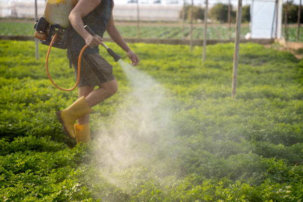 Best Wildlife Control Services  in Antelope, CA