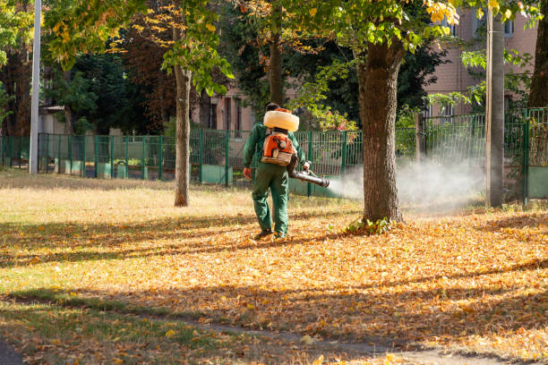 Best Pest Inspection Near Me  in Antelope, CA