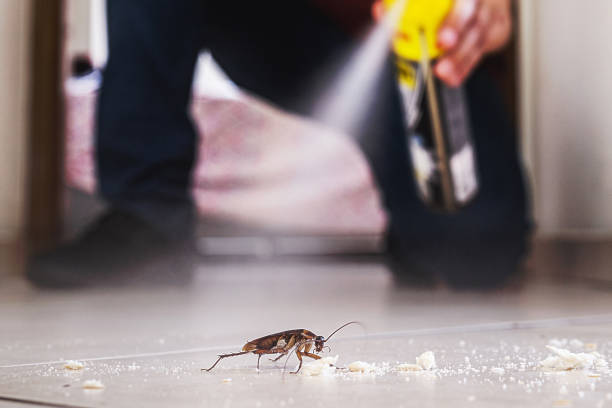 Best Pest Removal Services  in Antelope, CA