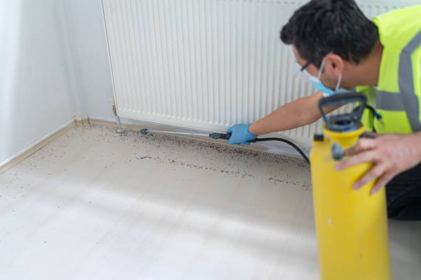 Best Bed Bug Extermination  in Antelope, CA